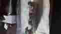 20-10-f4-epc-i 1140 S-50 Gresen 08650991