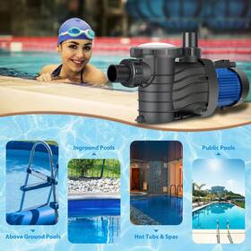 Seeutek 768362300694 Powerful Selfpriming Pool Pumps Above Ground/inground Dual