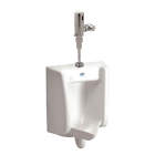 Z6003av-ews Zurn Flush Valve Urinal