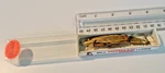 Vintage Bill Norman Jointed Minnow 3.5" Fishing Lure Nos New Box Nice. Fixed Price $9.95.