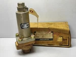 Saginomiya RSV-2206GXH Safety Valve Connection RC3/4 Fpt RSV2206GXH. Fixed Price $426.55.