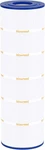 Wowreed Pool Filter Compatible With C1750, CX1750RE, PA175, C-8417, FC-1294, Pxc. Fixed Price $54.99.