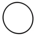 Amiad 1/2" Tagline Filter Lid O-ring Seal. Fixed Price $22.45.