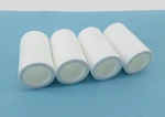 *lot Of 4* AF60P-060S Pneumatic Replacement Filter New Surplus!. Fixed Price $67.50.