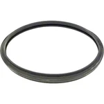 Star-clear Pool Filter Head Gasket O-305 Replacement For The Hayward CX250F. Fixed Price $14.50.