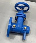 Watts 405-NRS-RW 2-1/2" Resilient Wedge Gate Valve 0700103. Fixed Price $262.97.