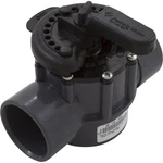 Diverter Valve, Pentair, 2-1/2" Spigot X Slip, Way : 263029. Fixed Price $67.30.