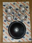 Wilden Pump Rebuild Elastomer Kit P200 Plastic / Teflon Fitted 02-9553-55 **new. Fixed Price $140.00.