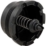Pentair 27001-0130S Spring Check Valve Replacement Sta-rite Pool/spa D.e. And.... Fixed Price $29.95.