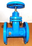 Watts 2-1/2 Resilient Wedge Gate Valve 405-RW Non-rising Stem Flanged 200 Psi. Fixed Price $175.00.