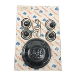Wilden Pump Rebuild Elastomer Kit P200 Plastic / Buna Fitted 02-9553-52 **new**. Fixed Price $139.99.