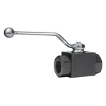Dynaquip Controls VAE2.A0 1" Fnpt Carbon Steel Ball Valve Inline. Fixed Price $99.39.