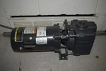 Teel 2891-V5 Pump With Dayton 1/3HP 9K648 Electric Motor. Fixed Price $210.00.
