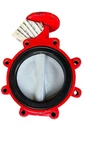 8" Bray Butterfly Valve Series 31, Cast Iron Lug Body, Nylon/di Disc, Epdm Seat. Fixed Price $290.00.