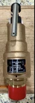 Kunkle 6010GFM01AKM Safety Relief Valve 1-1/4 Npt 150 Psig Bronze New. Fixed Price $715.99.