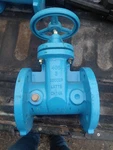Watts 405-NRS-RW 3" Flanged Gate Valve Non-rising Stem.. Fixed Price $485.00.