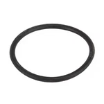 Banjo LST150-G Gasket, Line Strainer, 1-1/4-1-1/2. Fixed Price $5.55.
